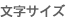 文字サイズ